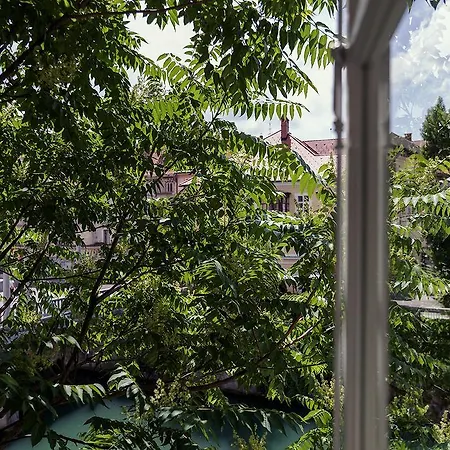 Pensión Kollmann And 3*